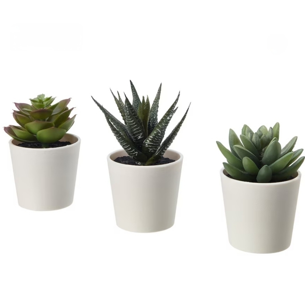 Ikea Fejka 3 faux Succulent Plants - Picture 7 of 7